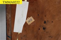 臺灣鯪鯉藏品圖，第13張